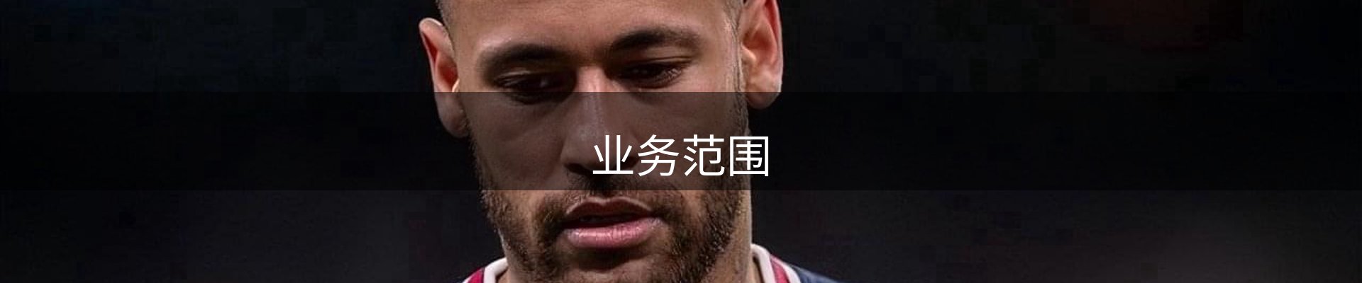 业务范围
