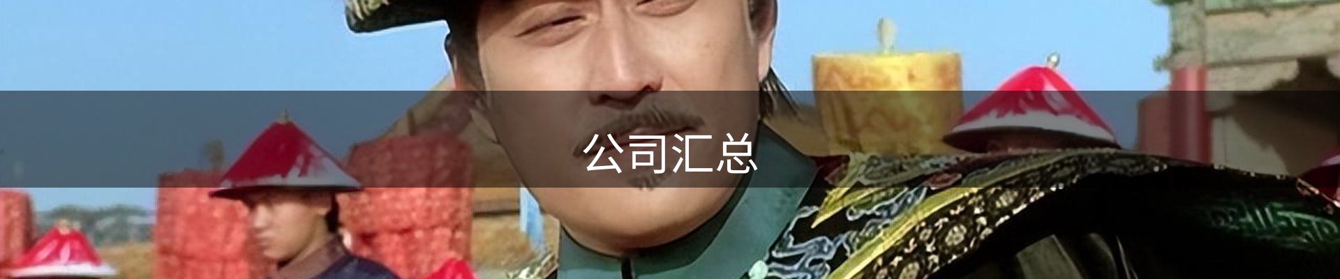 公司汇总