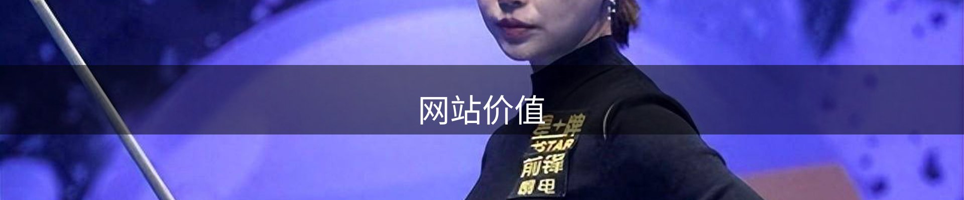 网站价值